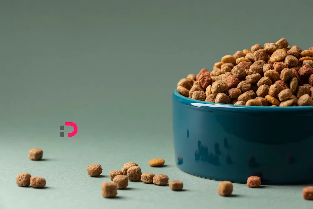 تهیه غذای رژیمی سگ خانگی با مکمل و ویتامین‌ها | پت‌شاپ آنلاین پتدونی 1404